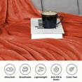 thumbnail image 6 of IR Imperial Rooms Adult Fleece Bed Blanket 310 GSM Microfiber Lightweight Winter Blanket Warm Fluffy Cozy Plush Rust Queen Size, 6 of 15