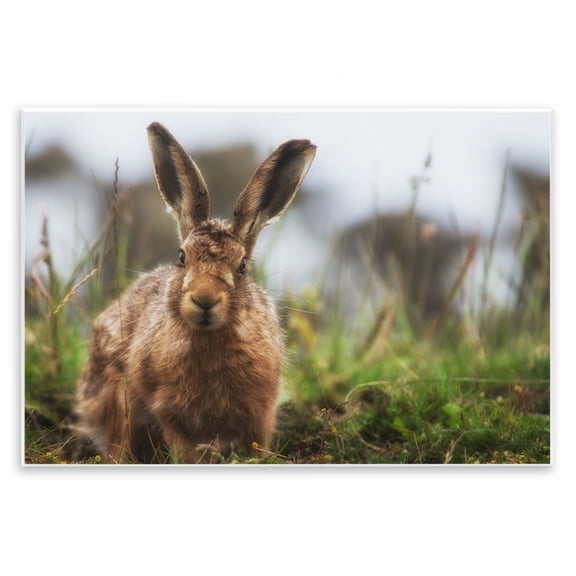 Stupell Industries Rustic Lodge Cute Bunny Farm Animal Landscape Photo Wall Plaque Art, 15 x 10, by Villager Jim
