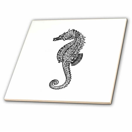 3dRose Seahorse vintage black and white illustration Ocean aquarium Sea horse - Ceramic Tile, 6-inch