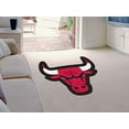 thumbnail image 1 of Sports Licensing Solutions, LLC 17210 NBA - Taureaux de Chicago, 1 of 2