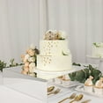 thumbnail image 5 of Balsa Circle 18x18" Silver Acrylic Display Box Cake Stand Centerpiece Pedestal Riser Party Events Home Decorations, 5 of 8