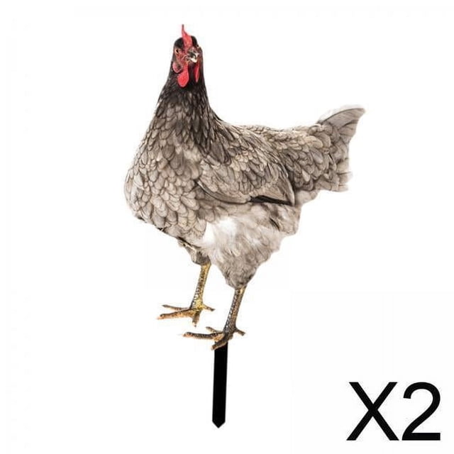 2 Estatuas De Jardín De Pollo, Estaca, Adorno De Césped Para Gallina, Regalo Exterior, Patio De Gallo, Estilo Artístico A