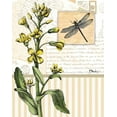 thumbnail image 2 of Paul Brent 12x14 White Modern Wood Framed Wall Art Titled - Botanical Collage II, 2 of 5