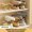 Cream Color, variant on Adjustable 3-Level Shoe Organizer Shoe Holder Stacker with Aroma Box Space Saving Shoes Stacking Rack for Shoe Cabinet Organization
