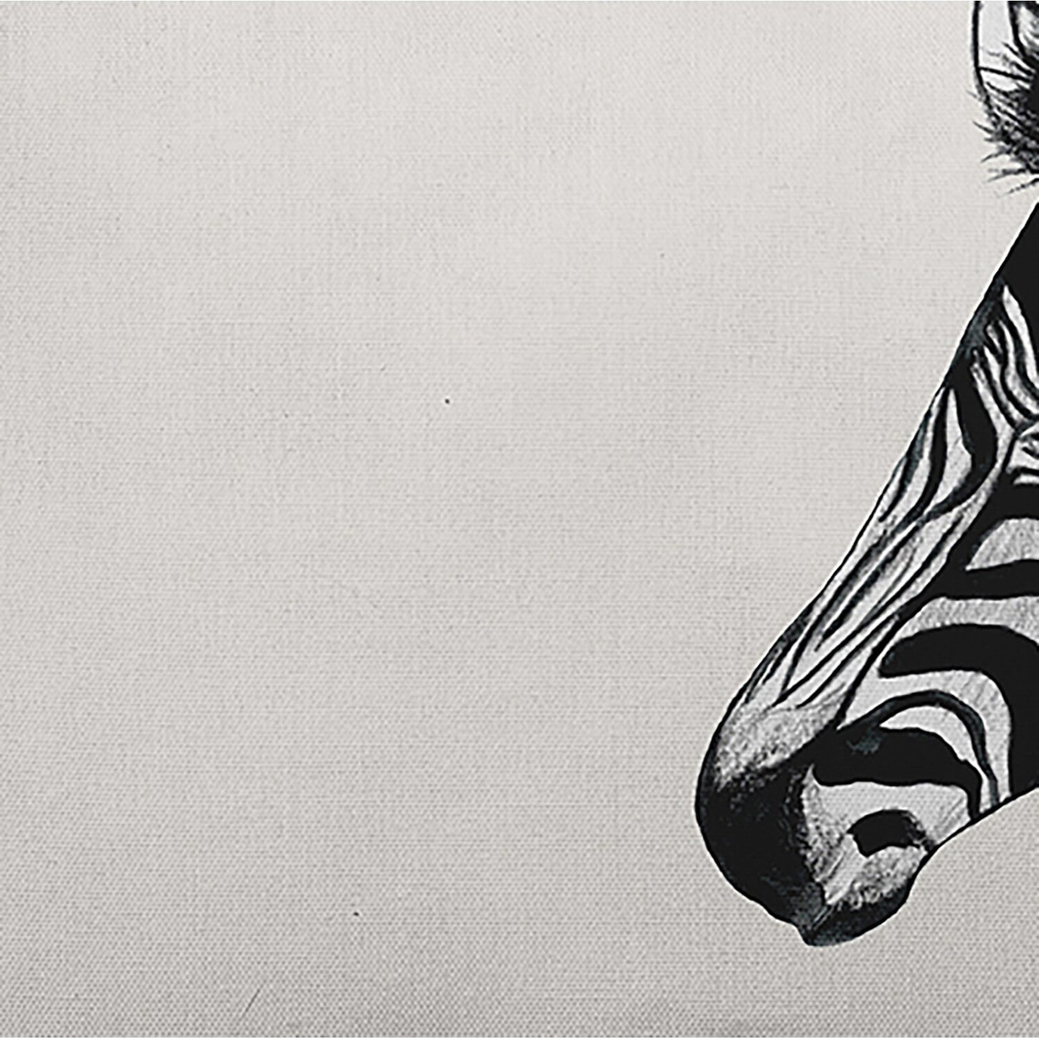 Simply Daisy Zebra Outdoor Pillow, Off-White/Black, 20 in x 20 in