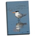 thumbnail image 2 of Gango Home Decor Bird 3 by Lee Peterson (Ready to Hang); One 24x36in Hand-Stretched Canvas, 2 of 4