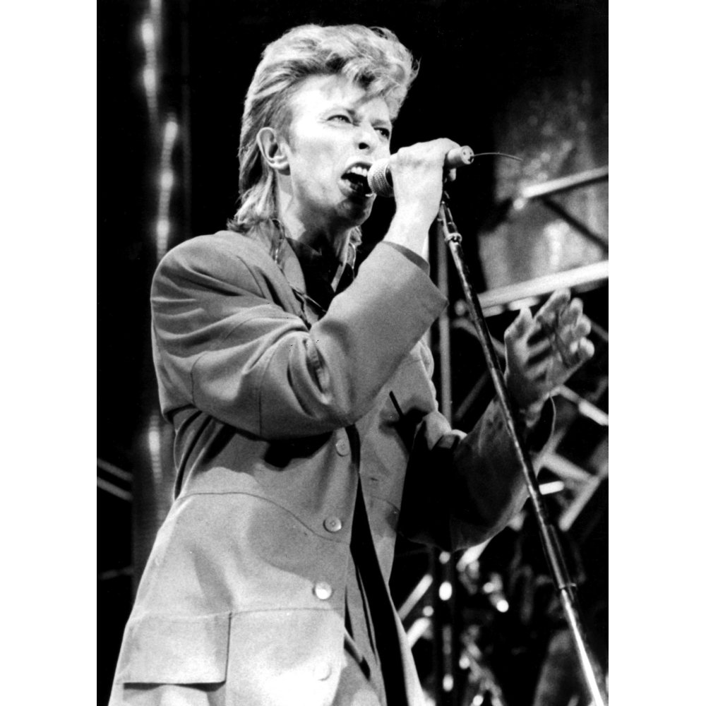 David Bowie performing on stage Photo Print (24 x 30)