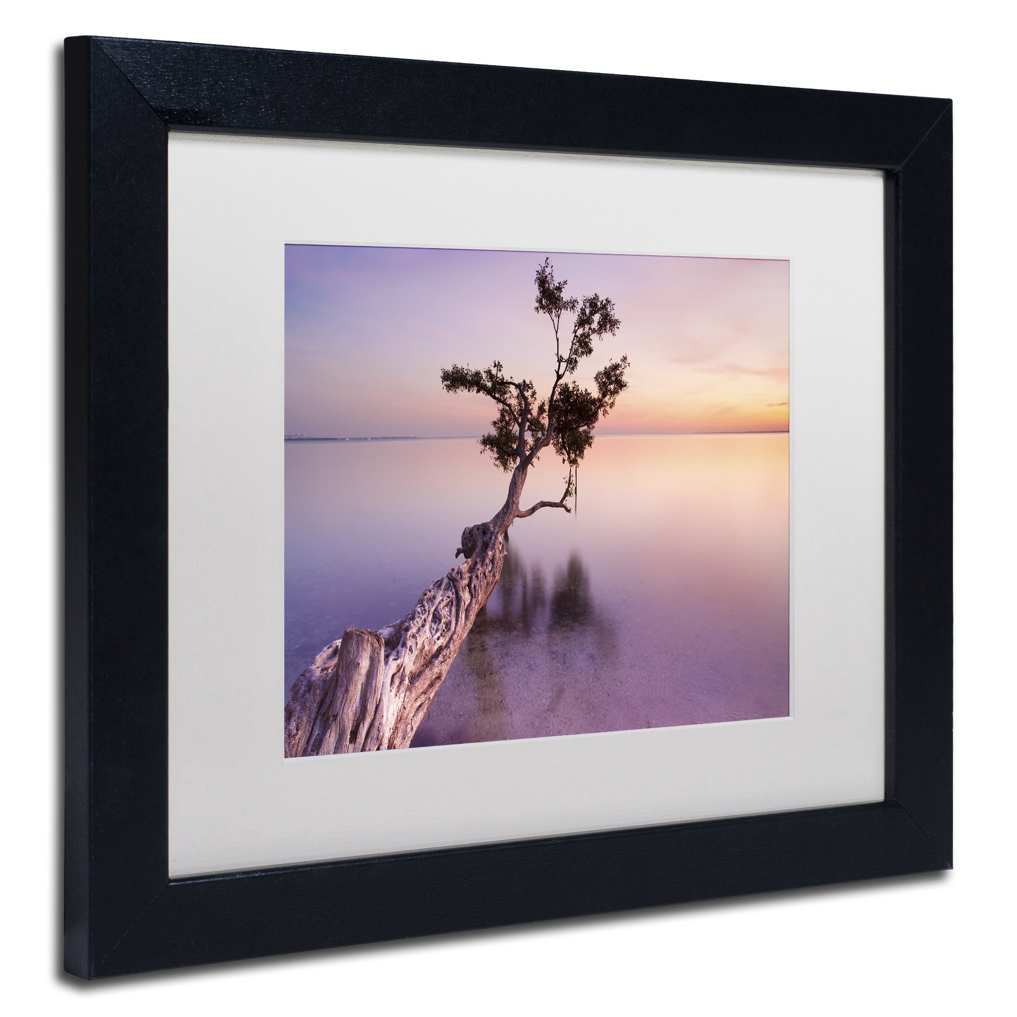 Trademark Fine Art "Water Tree XI" Canvas Art by Moises Levy White Matte, Black Frame