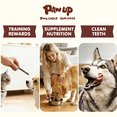 thumbnail image 4 of PAWUP Dog Treats Beef Sticks for Small Medium Large Dogs, Natural High Protein Dental Chews Training Treats, 12oz, 4 of 8