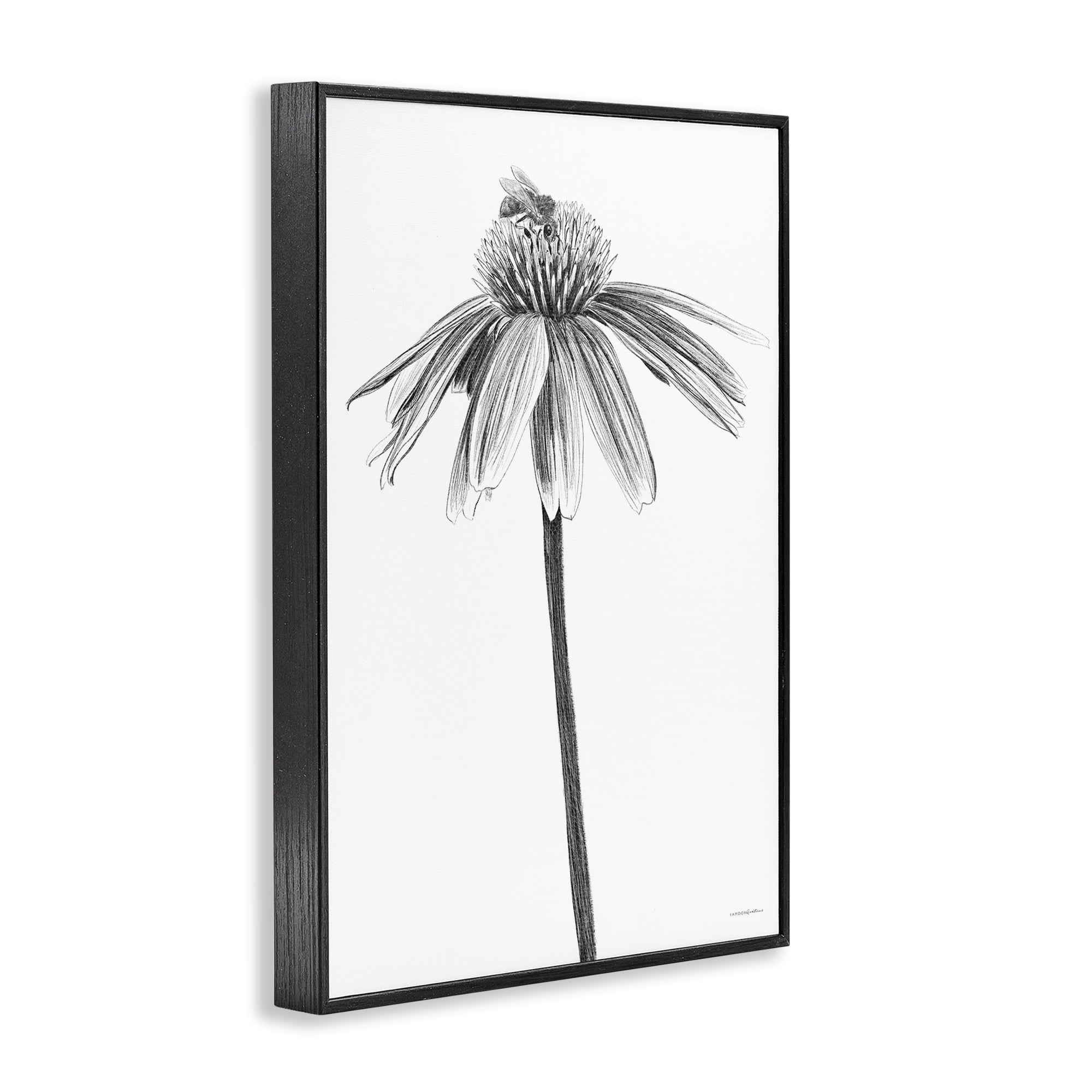 Stupell Industries Simple Daisy Sprig Botanical & Floral Drawing Black Framed Art Print Wall Art, 16 x 24