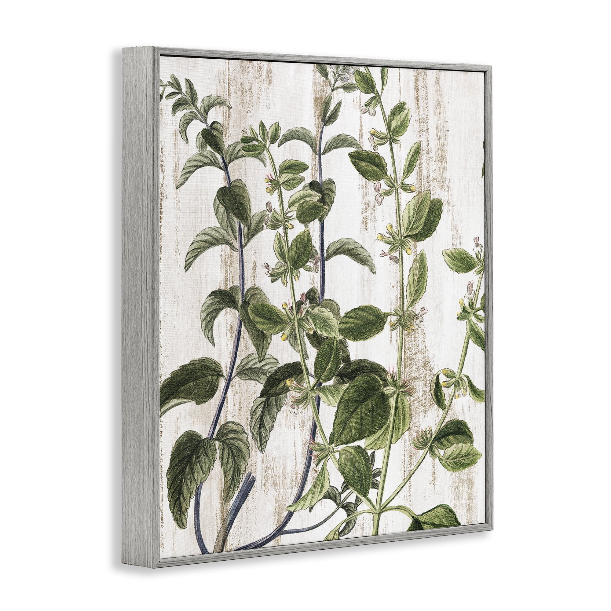 Stupell Industries Rustic Botanical Vines Botanical & Floral Painting Gray Framed Art Print Wall Art, 16 x 20
