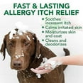 thumbnail image 3 of Vet's Best Allergy Itch Relief Dog Shampoo, Cleans and Relieves Discomfort from Seasonal Allergies, 16 oz., 3 of 9