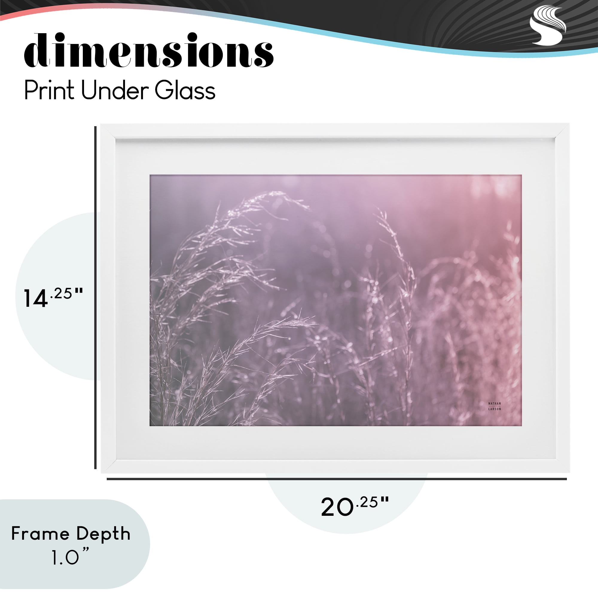 Stupell Industries Pink Meadow at Dawn White Framed Print Under Glass, design by Nathan Larson