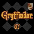 thumbnail image 2 of Men's Harry Potter Gryffindor Argyle Print  Pull Over Hoodie Black X Large, 2 of 4