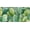 Cactus Green Cute, variant on Tie Dye Colorful Abstract Front License Plate, Novelty Vanity Tag, Aluminum Metal, 4-Hole, 6 x 12 Inch, Fits US/Canada Standard Plates, Rust-Proof