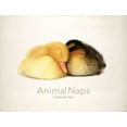thumbnail image 3 of Siestes d'Animaux, 3 of 3