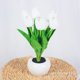 thumbnail image 5 of Regalo para novia, mamá, hija, tía, lámpara de flores, tulipanes con pilas, luz nocturna, regalo para su fiesta de cumpleaños, decoración de la sala de bodas, 5 of 5