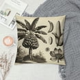 thumbnail image 2 of JRXY Tropical Throw Pillow Covers Summer Coconut Palm Banana Tree Green Leaf Throw Cushion Cover for Home Sofa Bed Car Couch White, 2 of 5