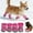 Pink, variant on Breathable Reflective Strap Boots for Small to Medium Dogs 4 Pack Dog Shoes Protectors Ideal for Hot Pavement Rainy Outdoor Activities in Five Sizes 4PCS