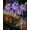 6pcs, variant on Magical Holographic Rainbow Solar Pinwheel Lights, Waterproof Solar Windmill Garden Lights with Color Changing LED Glow, Kinetic Wind Spinner Stake Outdoor Yard Decor for Pathway Lawn Patio(2PCS)