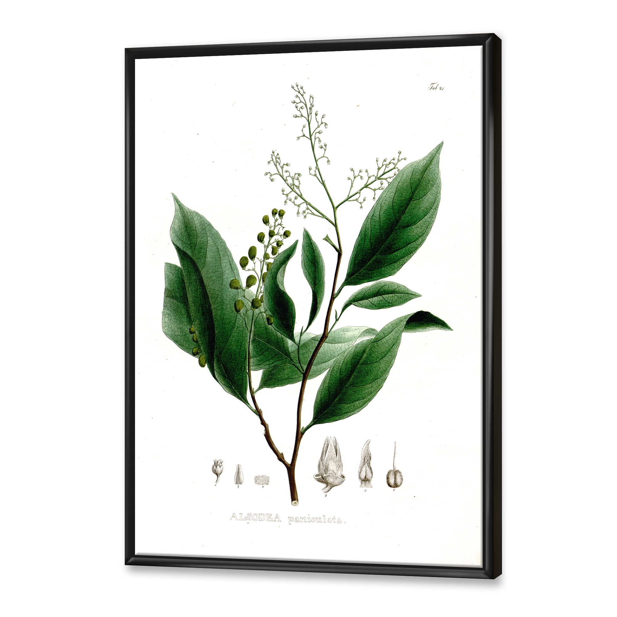 Designart 'Ancient Brazilian Plant II' Traditional Framed Canvas Wall Art Print