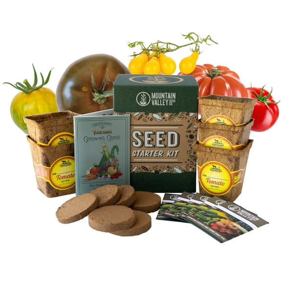 Tomato Seeds Indoor Growing Kit 5 Garden Tomato NonGMO Vegetable