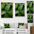 thumbnail image 4 of Designart "Serenity Among Palm Leaves I" Palms & Palm Trees Floater Framed Canvas Prints, 4 of 5