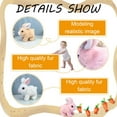 Bunny Stuffed Animal for Kids,Bunnies Can Walk and Talk Easter Plush