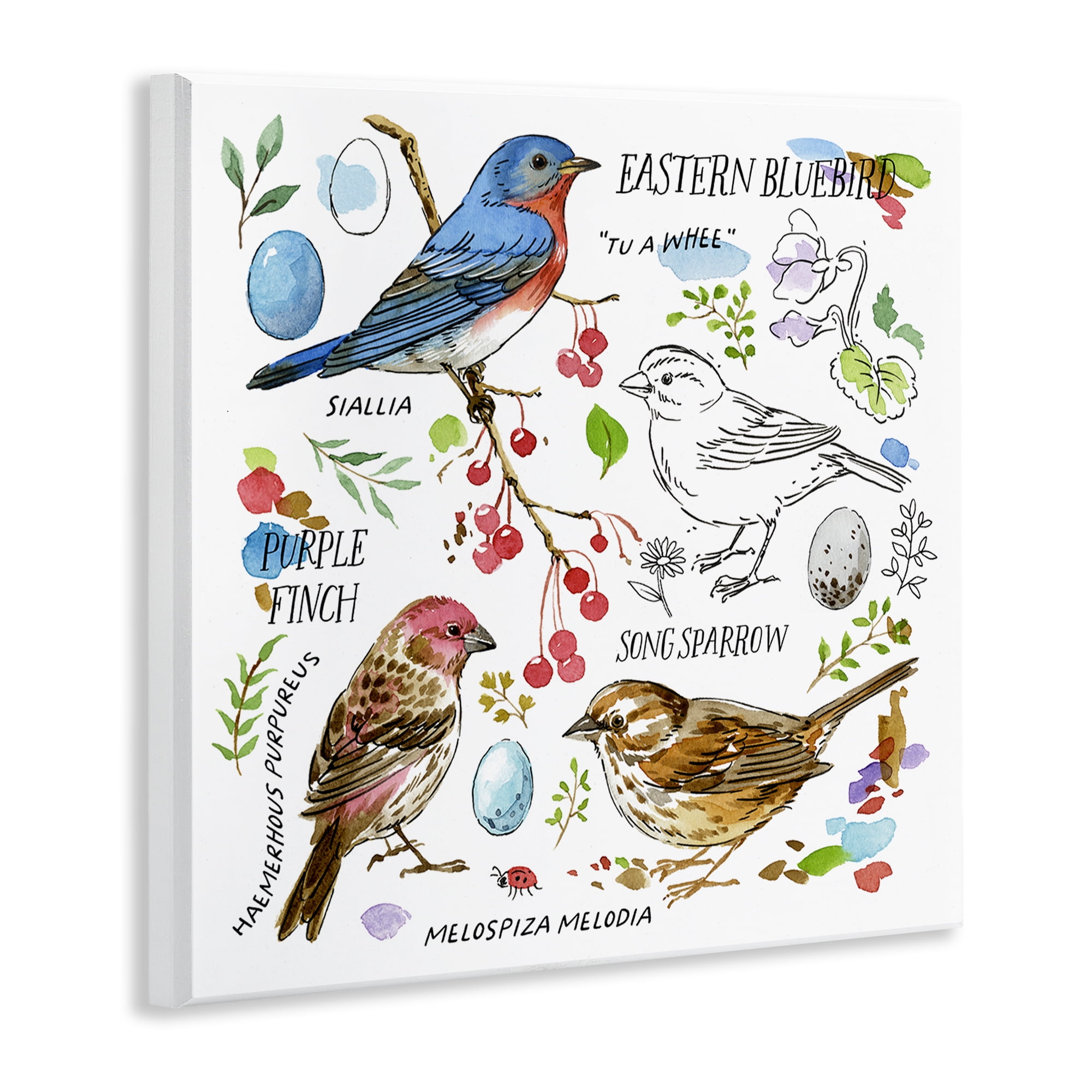Stupell Industries Woodland Birds Diagram Animals Painting Unframed Art Print Wall Art, 12 x 12