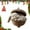 Color 04#, variant on PLPPYFS Forest Animal Acorn Ornaments Cozy Forest Christmas Ornaments, 2026 New Pine Cone Animal Decorations, Woodland Creature Hanging Ornament, Acrylic Hanging Ornament for Home Decor