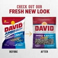 thumbnail image 3 of DAVID SEEDS Roasted and Salted Sweet and Salty Jumbo Sunflower Seeds, 5.25 oz, 12 Pack, 3 of 5