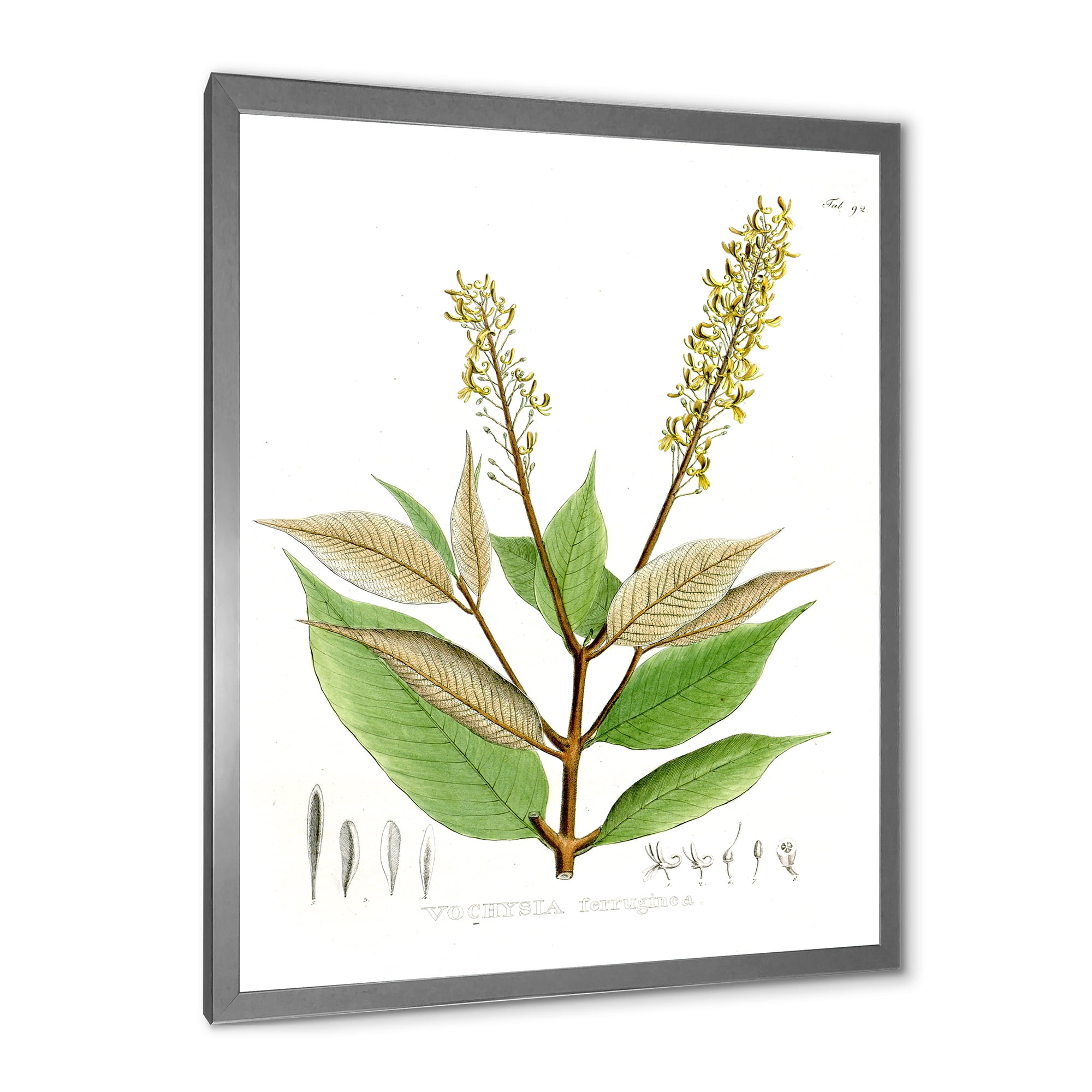 Designart 'Ancient Brazilian Plant V' Traditional Framed Art Print