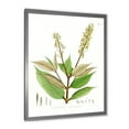 thumbnail image 2 of Designart 'Ancient Brazilian Plant V' Traditional Framed Art Print, 2 of 4