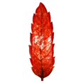 thumbnail image 1 of Eangee Home Design esh164 Feuille de Mur Grande Rouge, 1 of 1