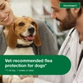 thumbnail image 3 of Advantage II Vet-Recommended Flea Prevention for Medium Dogs 11-20 lbs, 4-Monthly Treatments, 3 of 8