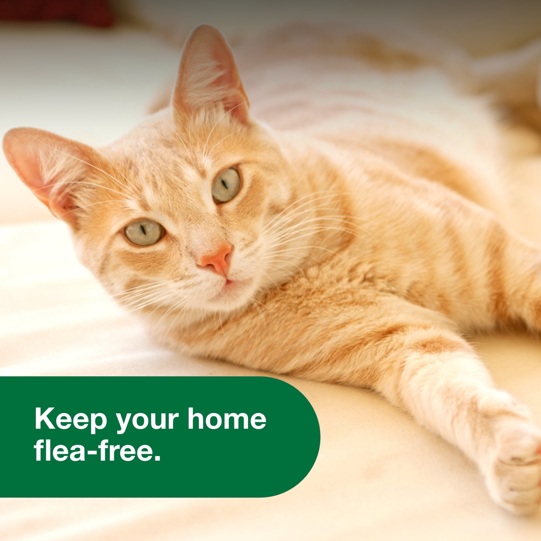 Advantage Carpet & Upholstery Spot Spray, Kills Fleas & Ticks & Bedbugs, 24 oz.