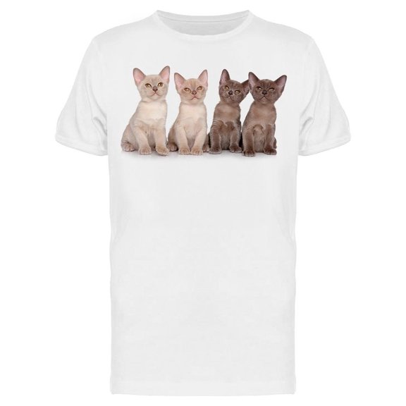 Group Of Burmese Kittens Sitted Tee Men's -Image by Shutterstock Men's T-shirt