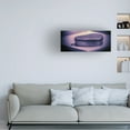 thumbnail image 2 of Canvas Wall Art - Ingo Menhard 'The Gift' Wall Art for Living Room, Bedroom, or Office D?cor by Trademark Fine Art - 47 x 20 Inches, 2 of 4