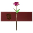 thumbnail image 2 of Rosa de plástico lacada floreciente, regalo de aniversario de cumpleaños, día de San Valentín, con bolsa de recuerdo (púrpura), Color de caja aleatorio, 2 of 5