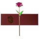 thumbnail image 2 of Rosa de plástico lacada floreciente, regalo de aniversario de cumpleaños, día de San Valentín, con bolsa de recuerdo (púrpura), Color de caja aleatorio, 2 of 5