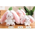 thumbnail image 4 of Conejito de peluche reversible de fresa y zanahoria, 2 juguetes de peluche de conejito, almohada de peluche de conejo de Pascua con cremallera, regalo suave y encantador para niños y niñas (2 piezas d, 4 of 4