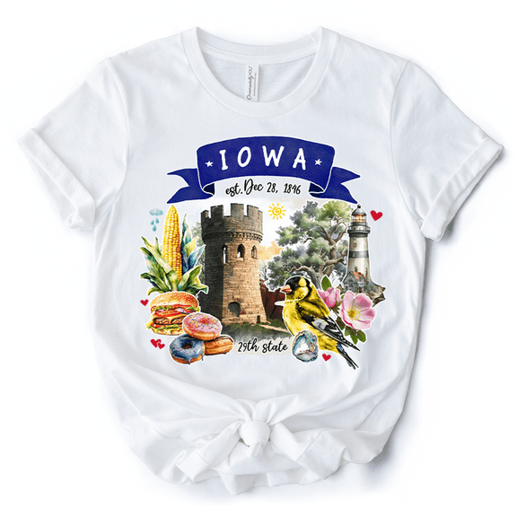 Artistic Iowa State Themes and Landmarks T-Shirt, Tee for History and Travel Lovers