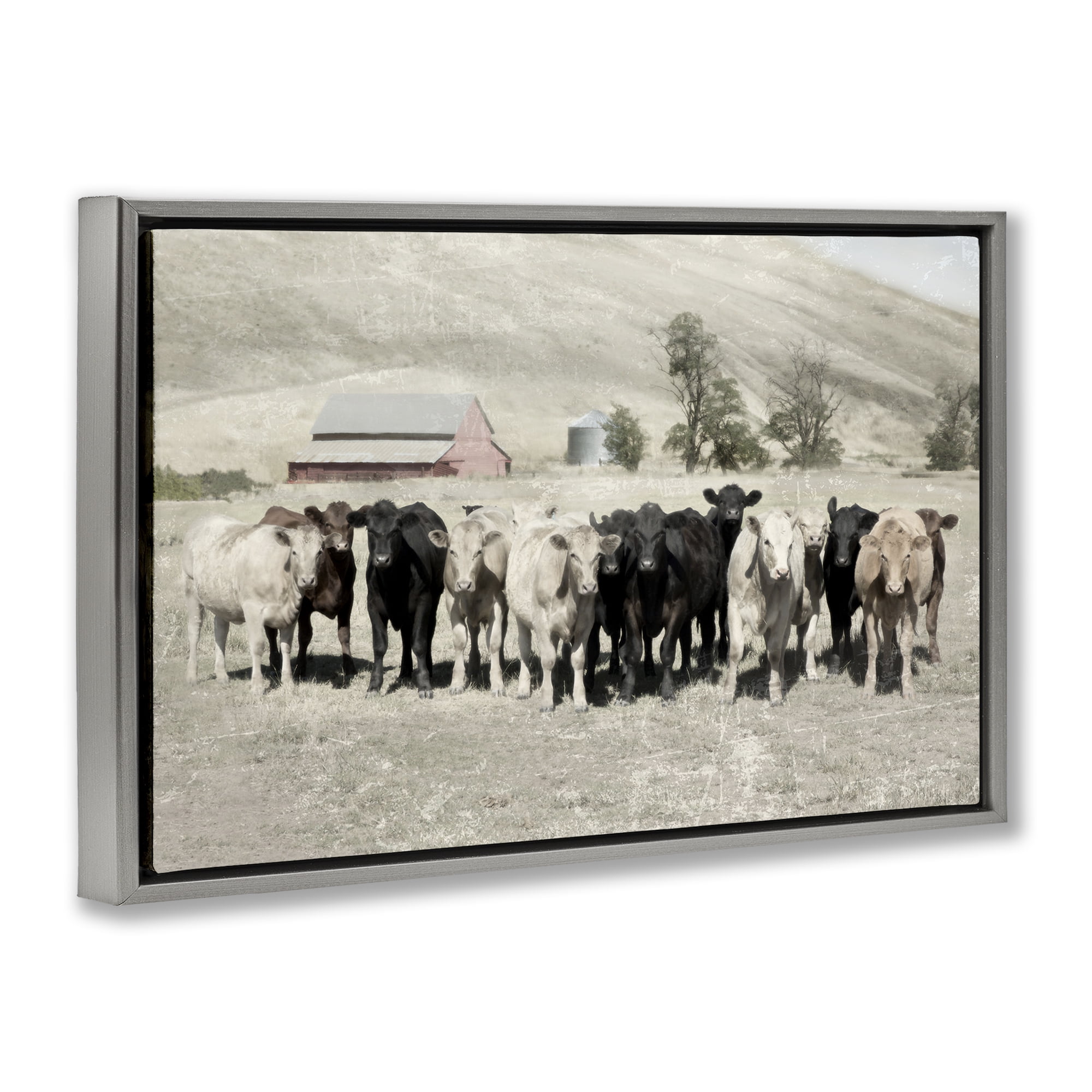 Stupell Industries Varied Cattle on Farm Landscape Painting Gray Floater Framed Canvas Art Print Wall Art, 25 x 17