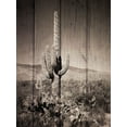 thumbnail image 2 of Prime, Marcus 19x24 White Modern Wood Framed Museum Art Print Titled - Western Vibes, 2 of 4