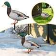 thumbnail image 2 of Acrylic Duck Yard Ornaments - Double-Sided Garden Stake Decorations, Ground Insert Animal Sculpture Statue for Lawn, Patio, Farmhouse Outdoor Yard Art & Garden Decor, 2 of 6