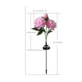 thumbnail image 3 of Inerposs Solar Garden Lights, LED Peony Flower Stake Lights, Waterproof Outdoor Decorative Lighting, Garden and Patio Decor, Energy Efficient Night Lighting, 3 of 6
