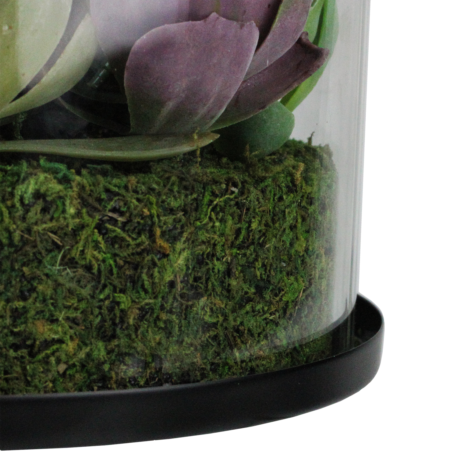 8" Artificial Mixed Succulent Arrangement in Round Glass Jar
