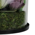 thumbnail image 4 of 8" Artificial Mixed Succulent Arrangement in Round Glass Jar, 4 of 5
