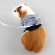 thumbnail image 4 of Hamster Inofensivo Chaleco Con Correa Arnés Para El Cuello Cuerda De Plomo Correa Para El Pecho S Azul Sunnimix Pequeños arneses de hámster para mascotas, 4 of 8
