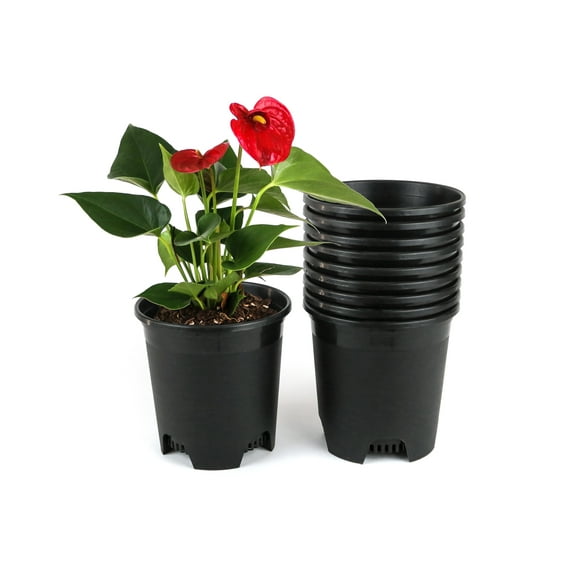 Cotta Planters 5 Inch Nursery Pots 10-Pack 0.5 Gallon Plastic Planters Liners Greenhouse supplies